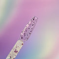 Glitter Gel Nail Polish № 13, 5ml